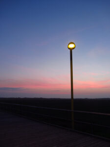 a IMG_6119