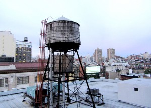 aa IMG_0472