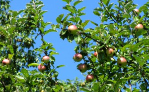 x IMG_2189