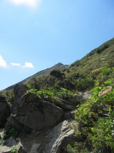 x IMG_2256