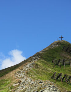 x IMG_2263