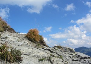 x IMG_2277