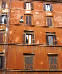 x IMG_4205