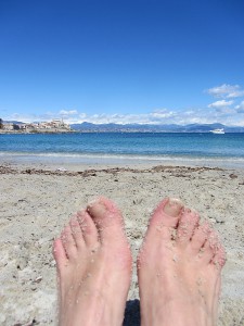 y IMG_4531