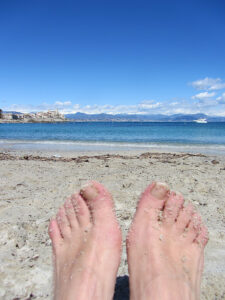 y IMG_4531