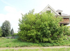zz a IMG_0858