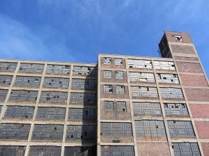 zz x IMG_1289