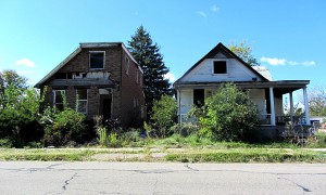 zz x IMG_1587